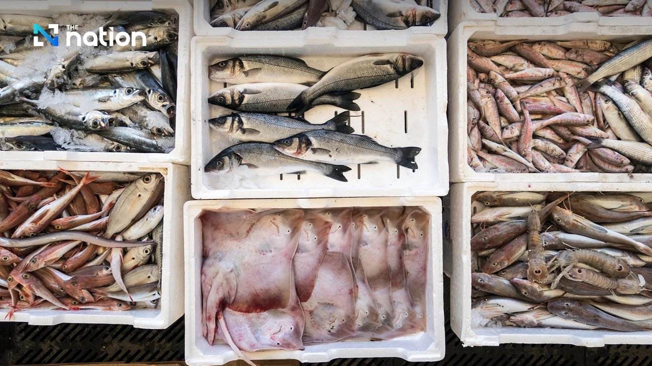 AS Setujui Thailand dan 88 Negara Lain Lanjutkan Ekspor Perikanan ke AS, Indonesia?